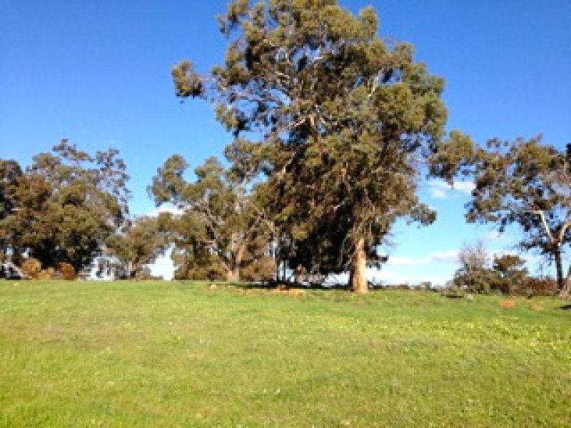 17 Kalimna Way, Boddington WA 6390