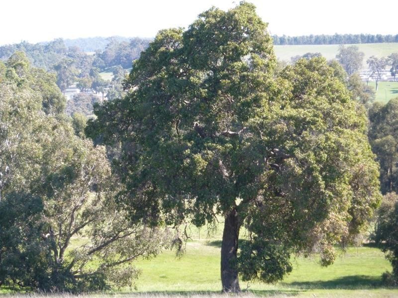 17 Kalimna Way, Boddington WA 6390
