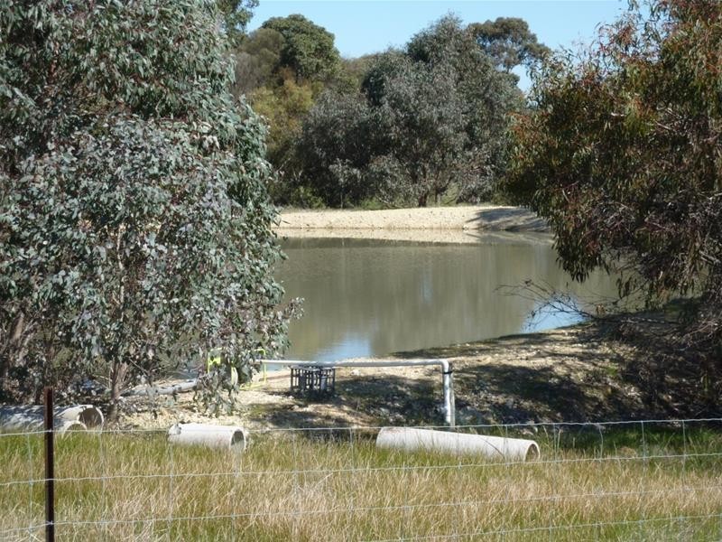 17 Kalimna Way, Boddington WA 6390