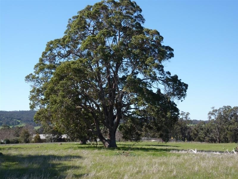17 Kalimna Way, Boddington WA 6390