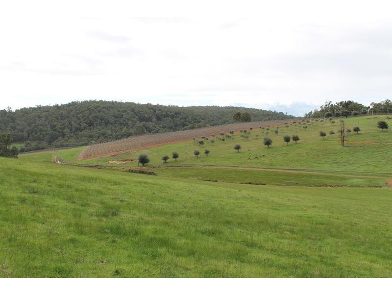 Lot 24 Prince Road, Waroona WA 6215