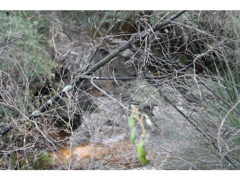 Lot 24 Prince Road, Waroona WA 6215