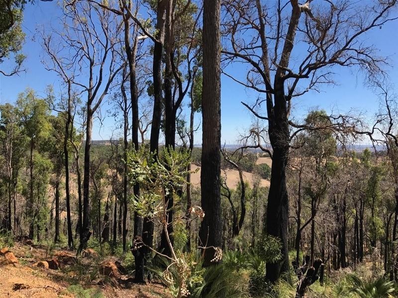 Lot 7 Invarell Road, Waroona WA 6215