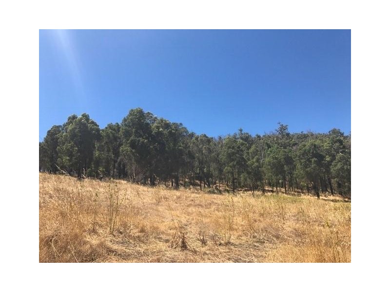 Lot 7 Invarell Road, Waroona WA 6215