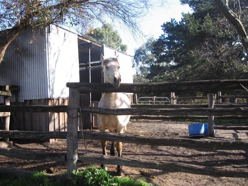 4 Williams Street, Boddington WA 6390