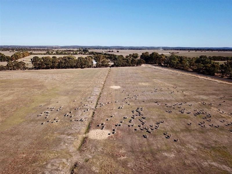 793 Dorsett Road, Waroona WA 6215