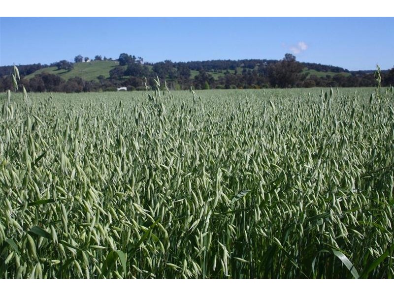 9349 Pinjarra-Williams Road, Quindanning WA 6391