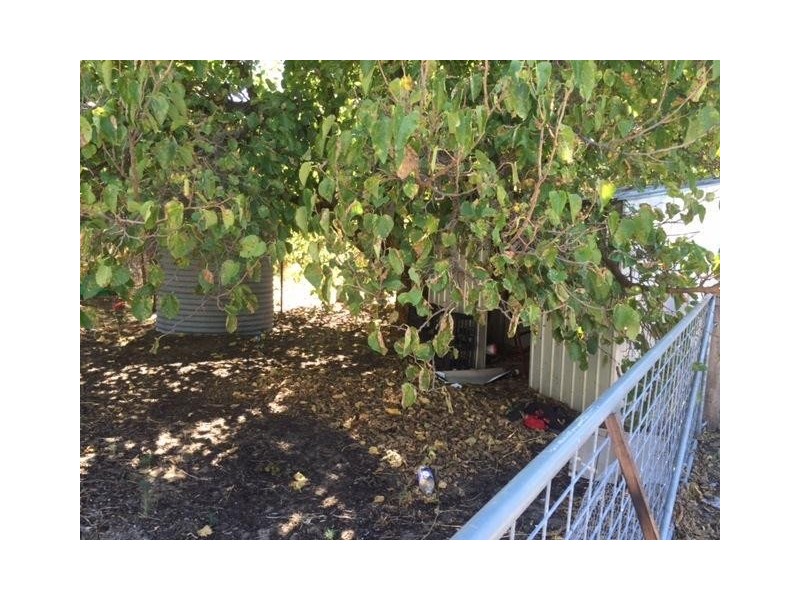 17 Parnell Street, Waroona WA 6215