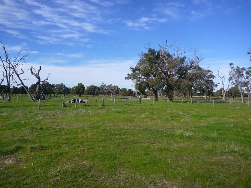 128 Daudson Road, Nirimba WA 6208