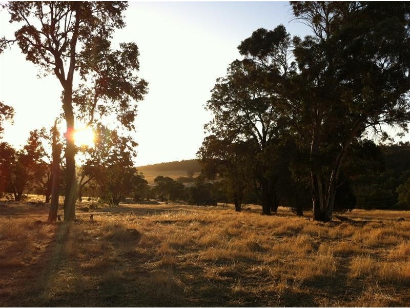 Lot 16 Days Road, Boddington WA 6390