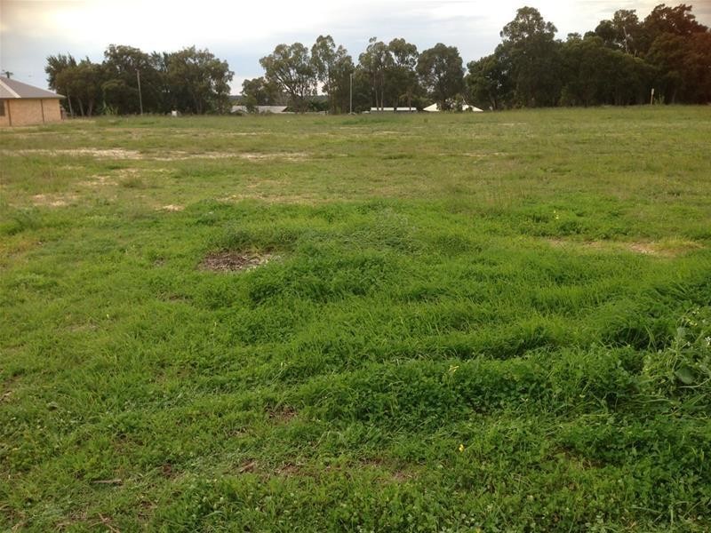 12 Elliot Street, Waroona WA 6215