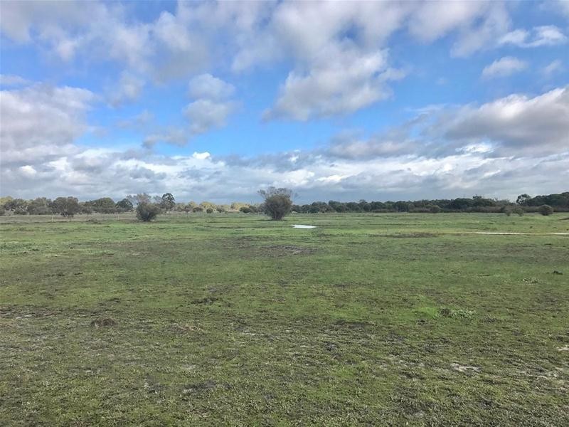 LOT 108 CORIO Road, Pinjarra WA 6208