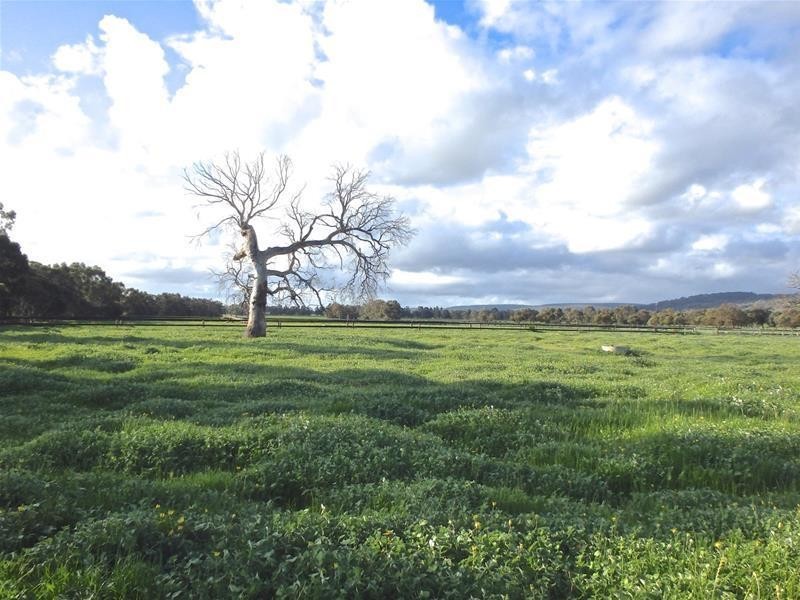 Lot 800 South West Highway, North Dandalup WA 6207