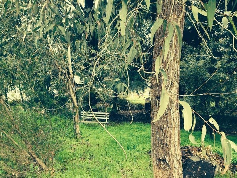 19 Grevillia Road, Dwellingup WA 6213