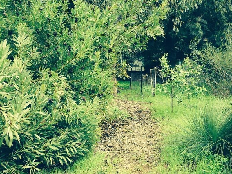 19 Grevillia Road, Dwellingup WA 6213