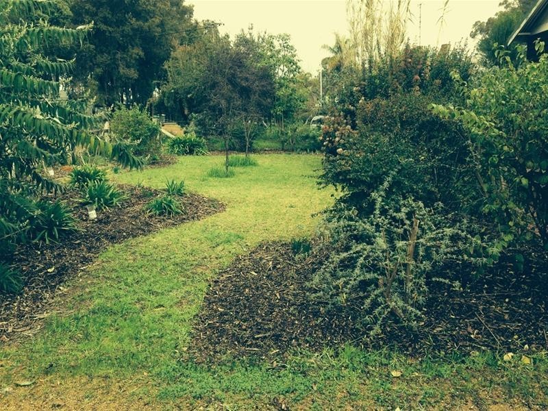 19 Grevillia Road, Dwellingup WA 6213