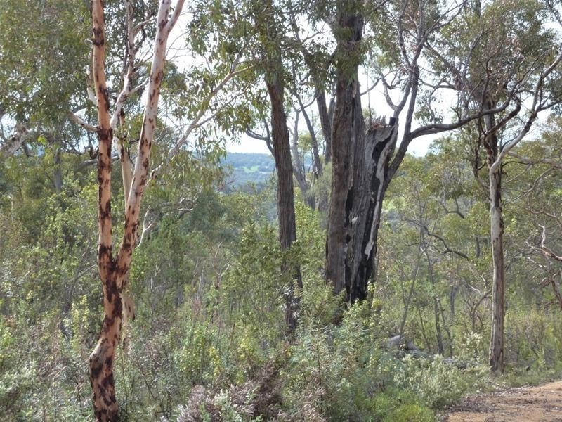 Lot 108 Littleton Rise, Boddington WA 6390