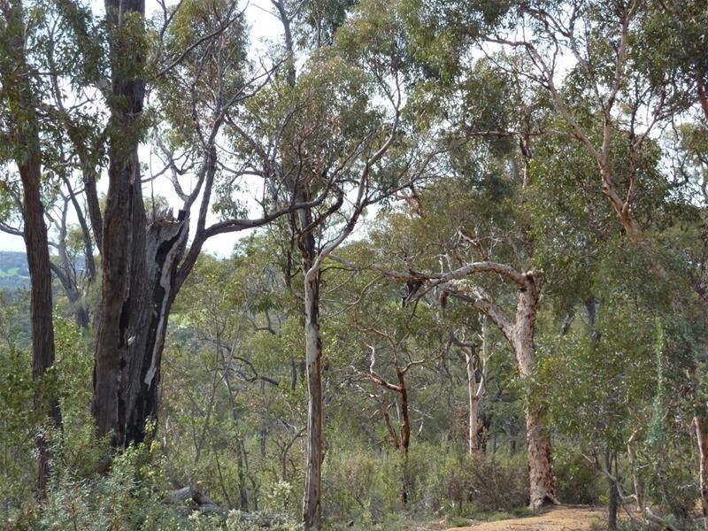 Lot 108 Littleton Rise, Boddington WA 6390