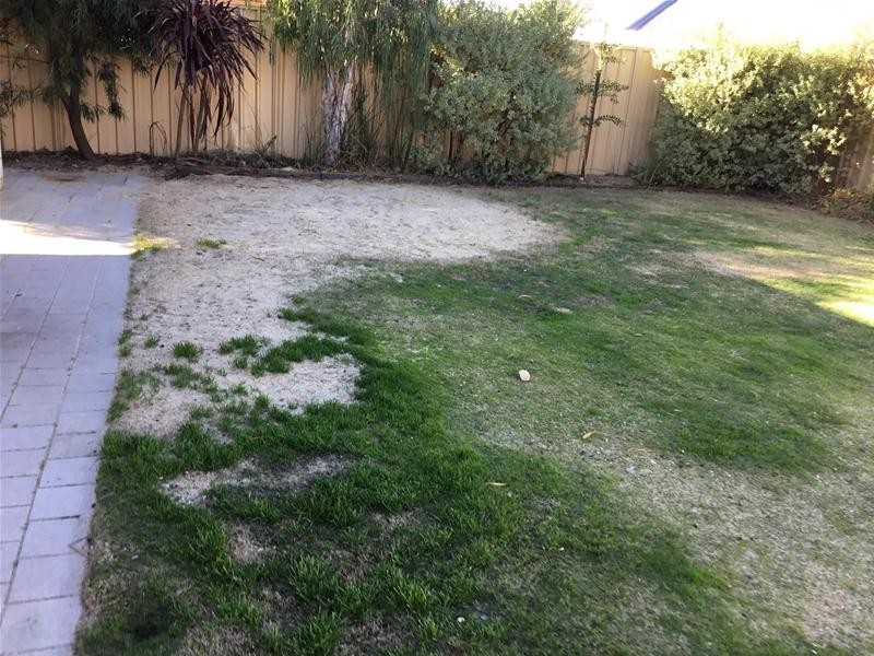 14 Greenacre Street, Pinjarra WA 6208