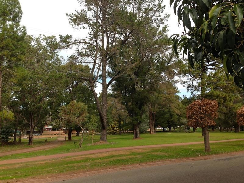 15 Banksiadale Road, Dwellingup WA 6213