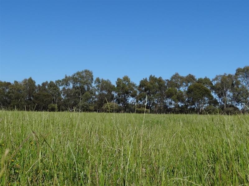 Lot 101/488 Readheads Road, North Dandalup WA 6207