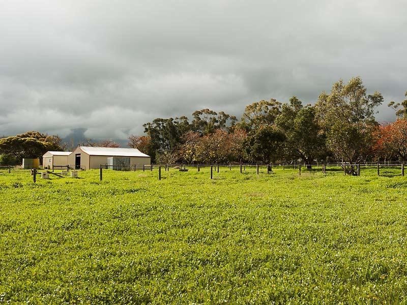 19 Coral Park Drive, North Dandalup WA 6207