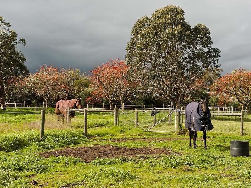 19 Coral Park Drive, North Dandalup WA 6207