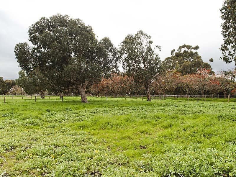 19 Coral Park Drive, North Dandalup WA 6207