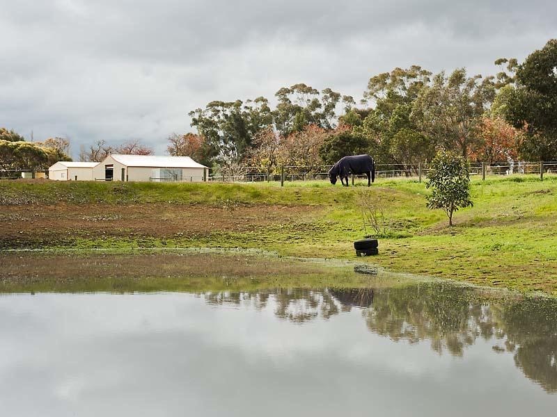 19 Coral Park Drive, North Dandalup WA 6207