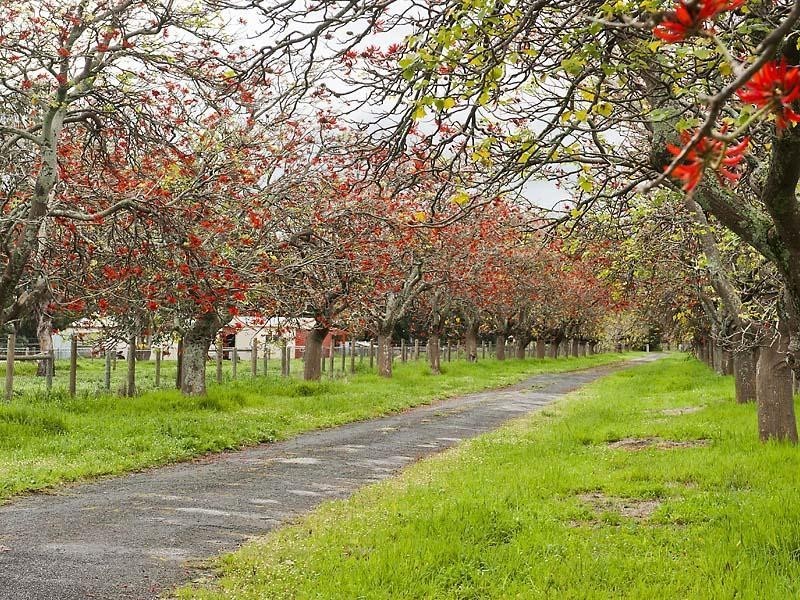 19 Coral Park Drive, North Dandalup WA 6207