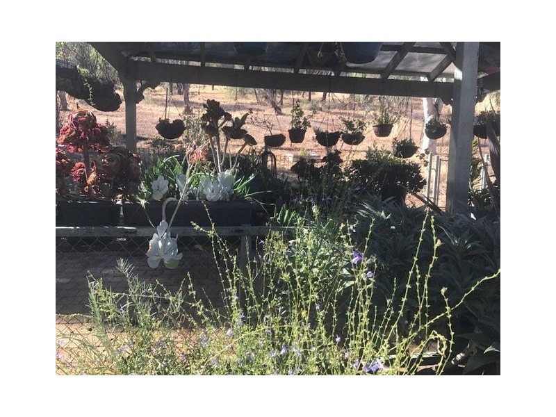 39 Crossman Road, Boddington WA 6390