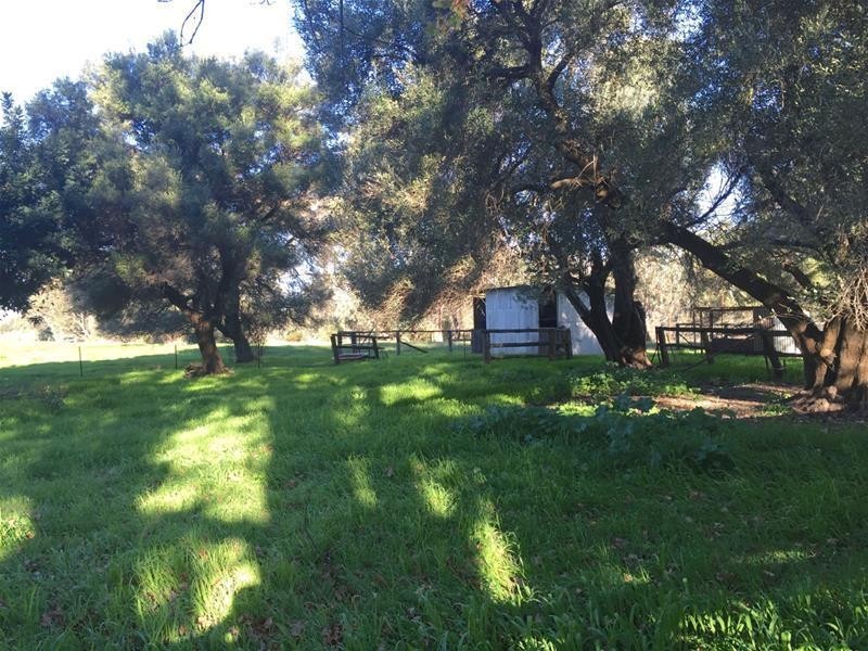 223 Paterson Road, Pinjarra WA 6208