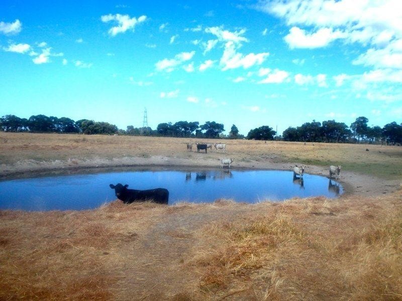 Lot 73 Brownes Lane, Coolup WA 6214