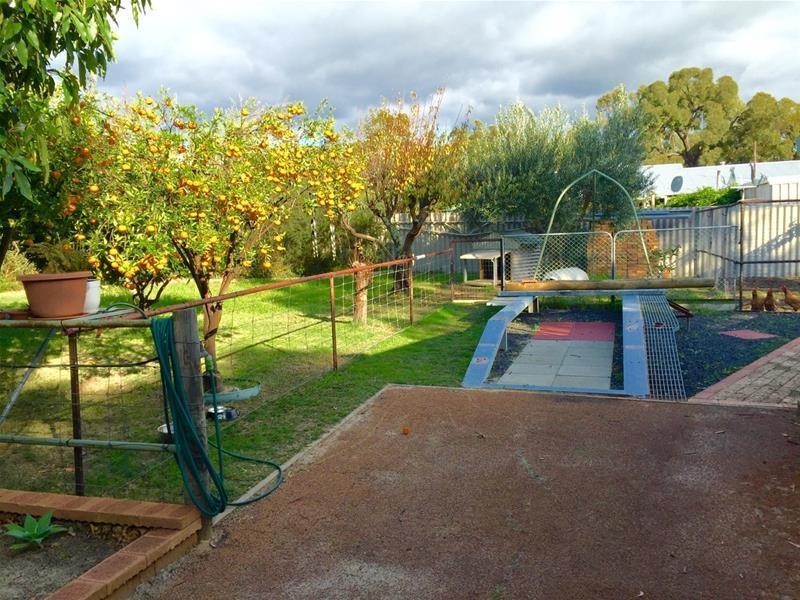 17 McDowell Street, Waroona WA 6215