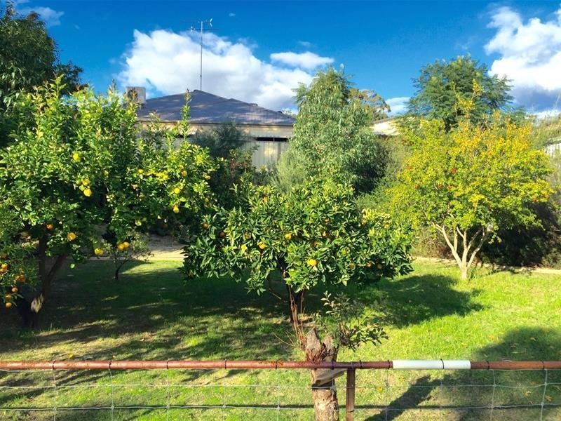 17 McDowell Street, Waroona WA 6215