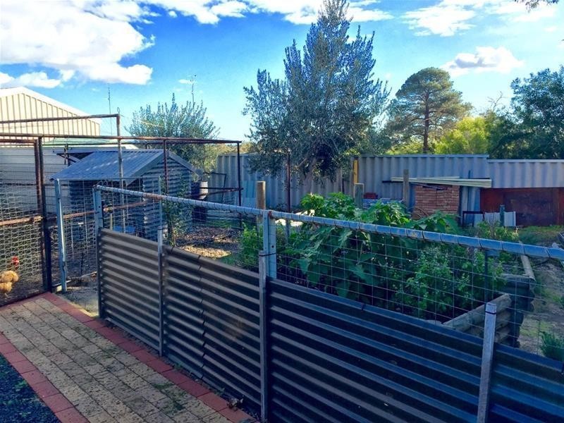 17 McDowell Street, Waroona WA 6215