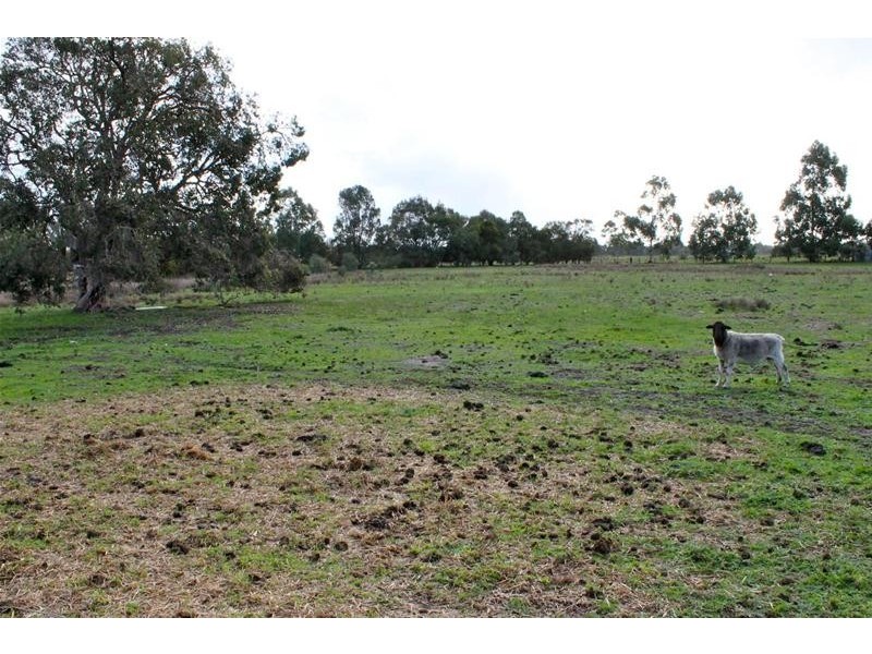 30 Paperbark Place, West Pinjarra WA 6208