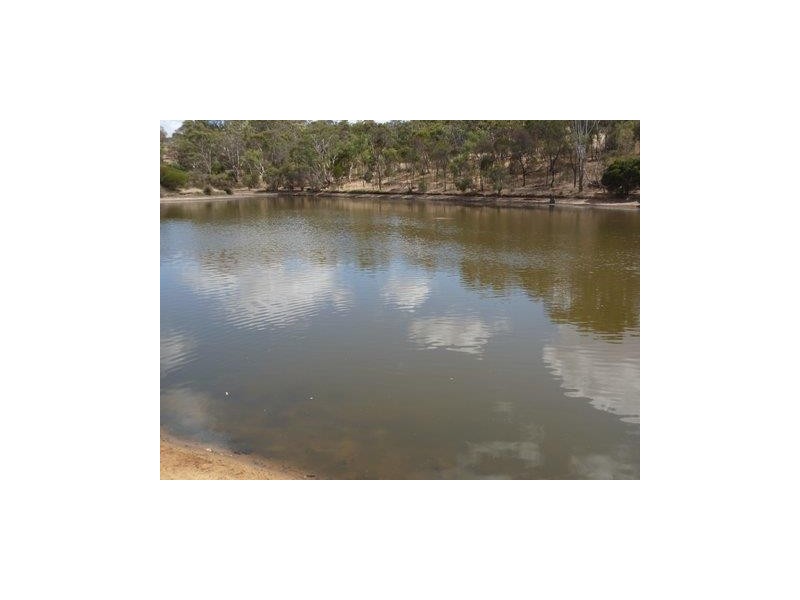 20 Pollard Street, Boddington WA 6390