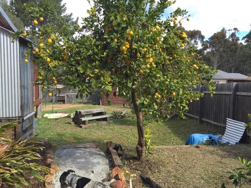 4 Sollya Crescent, Dwellingup WA 6213