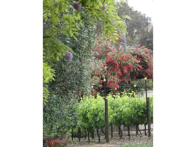 25 Ronlyn Road, Furnissdale WA 6209