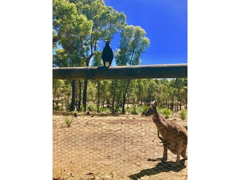 39 Lyons Road, Waroona WA 6215