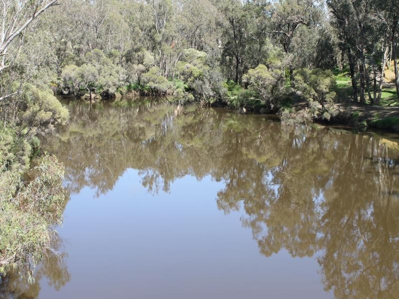 12 Kirkham Street, Pinjarra WA 6208