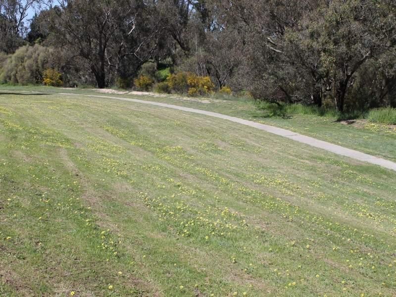 12 Kirkham Street, Pinjarra WA 6208