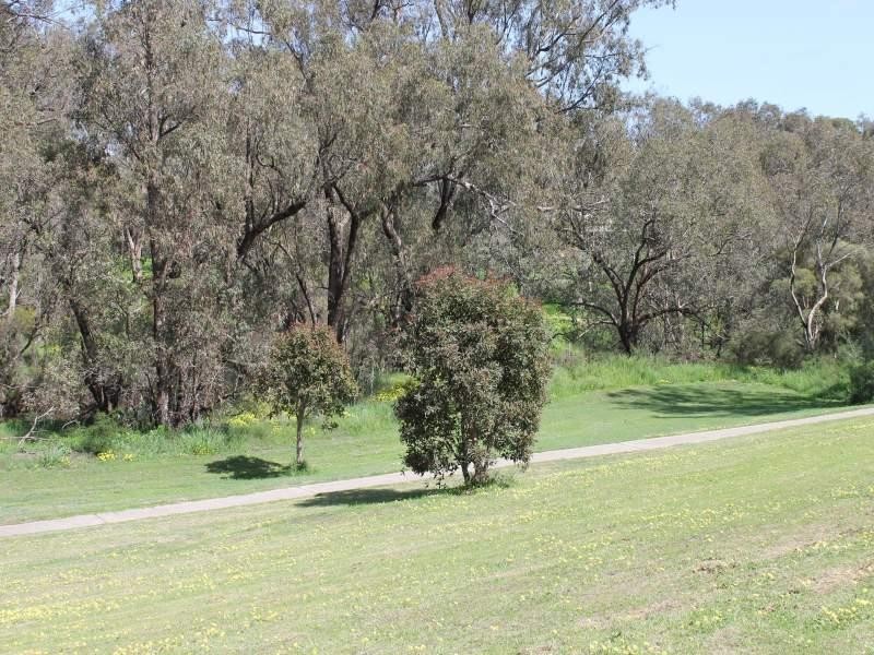 12 Kirkham Street, Pinjarra WA 6208