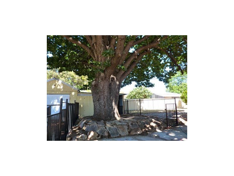 6 King Street, Boddington WA 6390