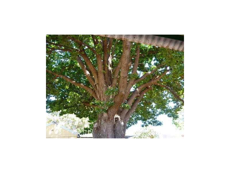 6 King Street, Boddington WA 6390