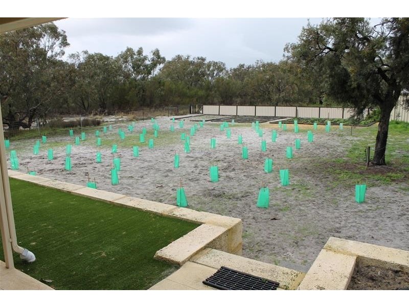 117 Tonkin Drive, North Yunderup WA 6208