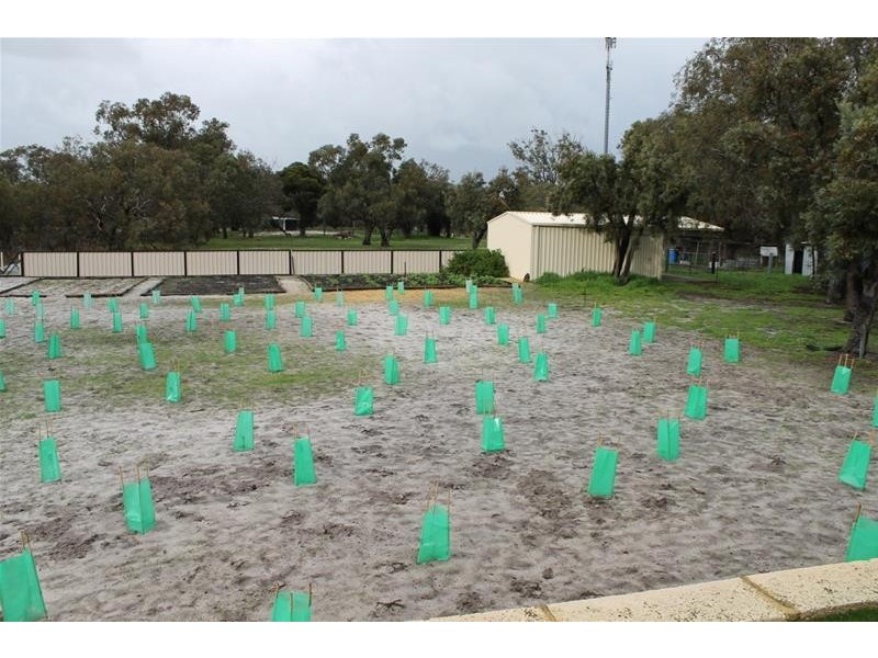 117 Tonkin Drive, North Yunderup WA 6208