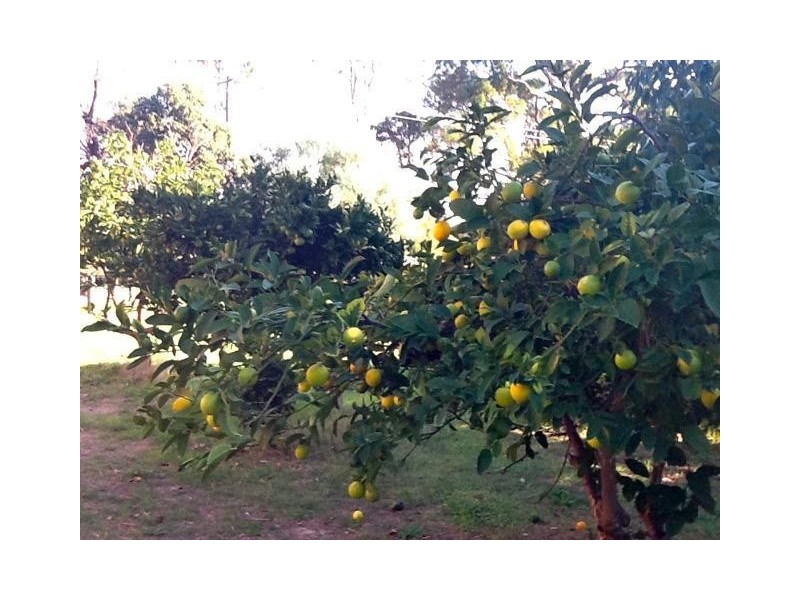 40 Francklyn Road, Yarloop WA 6218