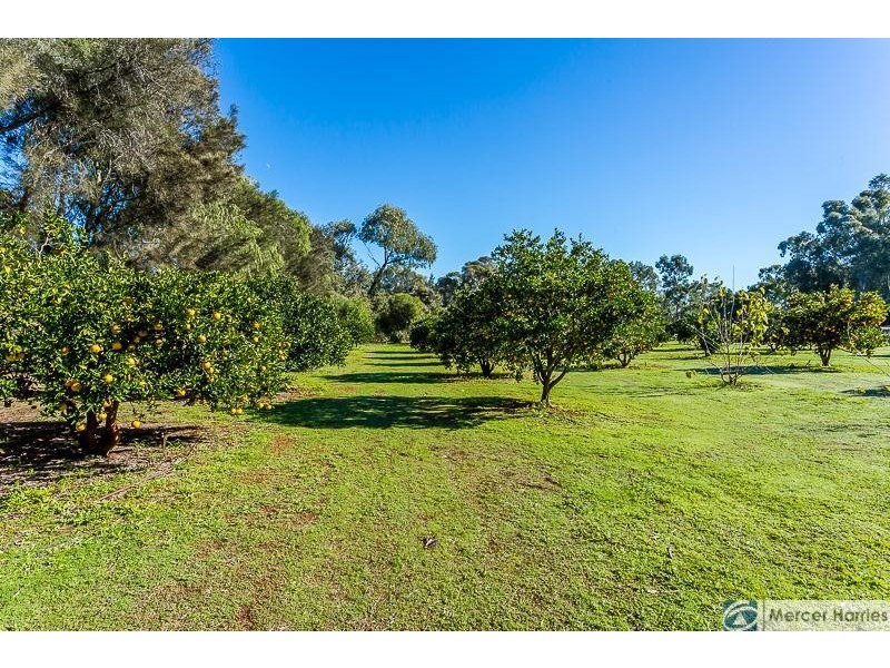 59 Matthie Road, Barragup WA 6209